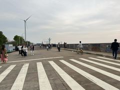 -碧海金沙