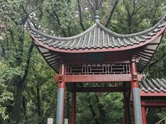 -岳麓山风景名胜区