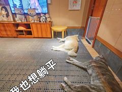 -大江户·温泉洗浴(浑南店)