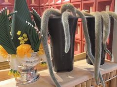 -多哥水傣味餐厅(司马巷店)