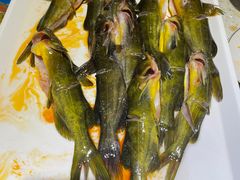 -融泽漁悦三只耳鱼火锅(南郑大道店)