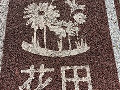 -西京湾花海
