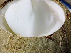 -椰爺爺·椰子冻砵仔糕