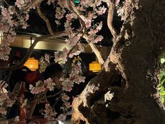 大堂-桂满陇-西湖船宴(西单大悦城店)