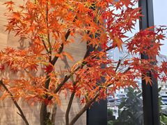 -唐宫足道·SPA·住宿24H会所(木渎店)