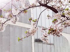 -龙美术馆(西岸馆)