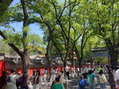 -北京国子监胡同