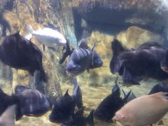 -南昌海洋公园