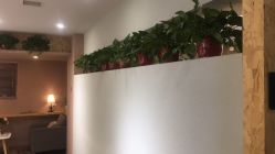 -构想时尚发型会所