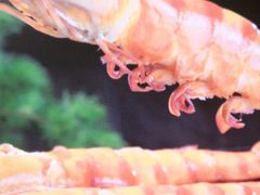 -来之顺海鲜菜馆·青岛菜·始于1993(栈桥店)
