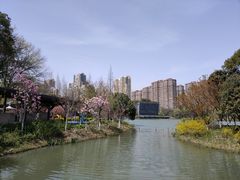 -青枫公园