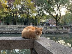 -西园戒幢律寺
