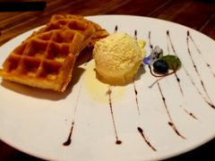 -百好乐宠物友好餐厅(朝外大街店)