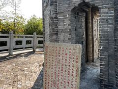 -上海佘山国家森林公园天马山园