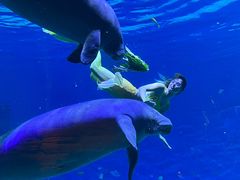 -珠海长隆海洋王国