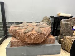 -游龙石文化科普馆