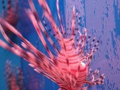 -多彩贵州城极地海洋世界