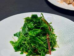 -曼格纳·曼芯馆(杨浦店)