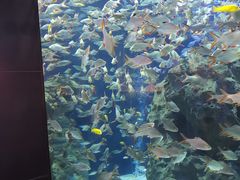 -成都浩海立方海洋公园