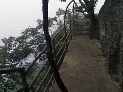-天女山森林公园