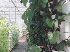 -艾溪湖湿地公园