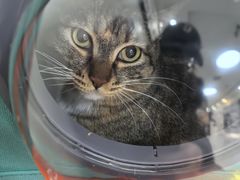 -美联众合动物医院·24h京西诊疗中心