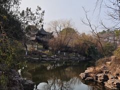 -日出青木
