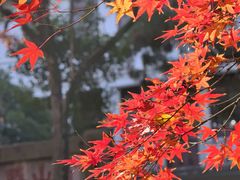 -狼山风景名胜区