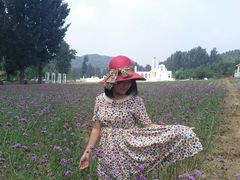 -紫海香堤香草艺术庄园