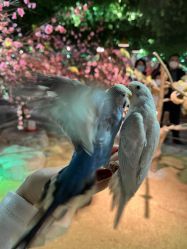 -酷嗒动物文化乐园(cutezoo西溪乐天城店)