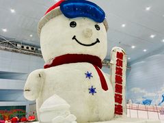 -哈尔滨热雪奇迹