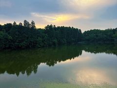 -东湖落雁景区