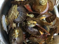 -宾朋海鲜特色美食餐厅·纯手工鲅鱼水饺(兴海路店)