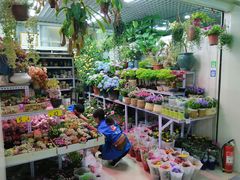 -三旗百汇商品城