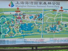 -上海海湾国家森林公园