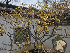-无锡梅园公园