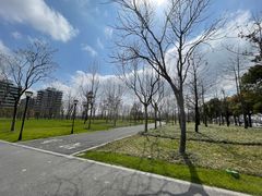 -上海山野camping·户外天幕烧烤·团建拓展营地