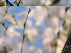-龙美术馆(西岸馆)