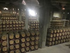 -骏途旅游