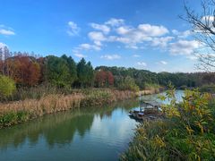 -上海长兴岛郊野公园