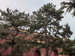 -北京市劳动人民文化宫(太庙)