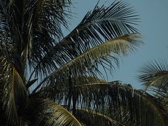 -白沙门生态公园