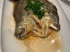 -醉辉皇原味海鲜江南菜(成都大魔方店)