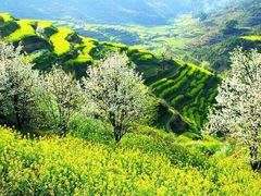 -篁嶺土菜馆·柴火饭 土鸡土菜