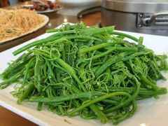 -南海鸽天下(肇庆店)