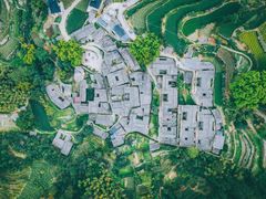 -杨家堂村