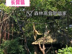 -广州长隆野生动物世界