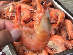 -毕家疃综合市场