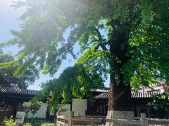 -常熟方塔园