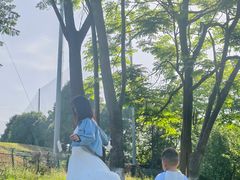 -两河城市森林公园